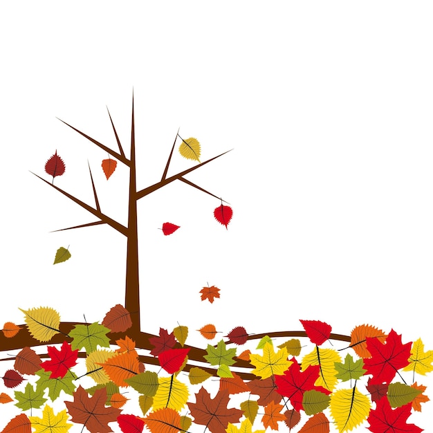 秋、木から葉が落ちる紅葉のベクトルの背景