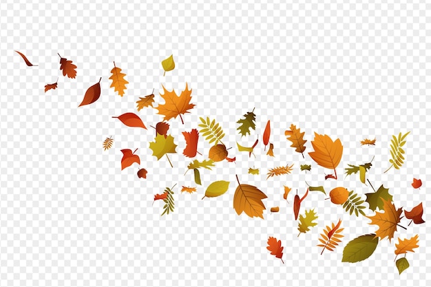 Vector autumn leaves falling leaves air flying autumn leaves wave of falling leavesleaf fall autumn