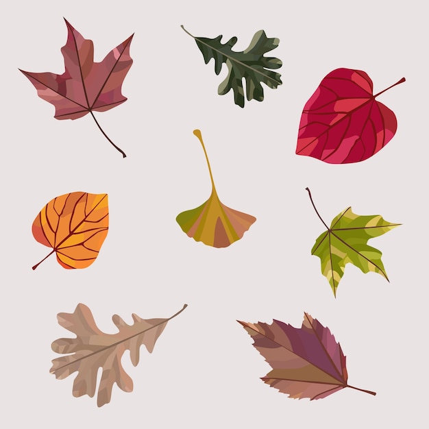 Autumn leaves in flat design pack