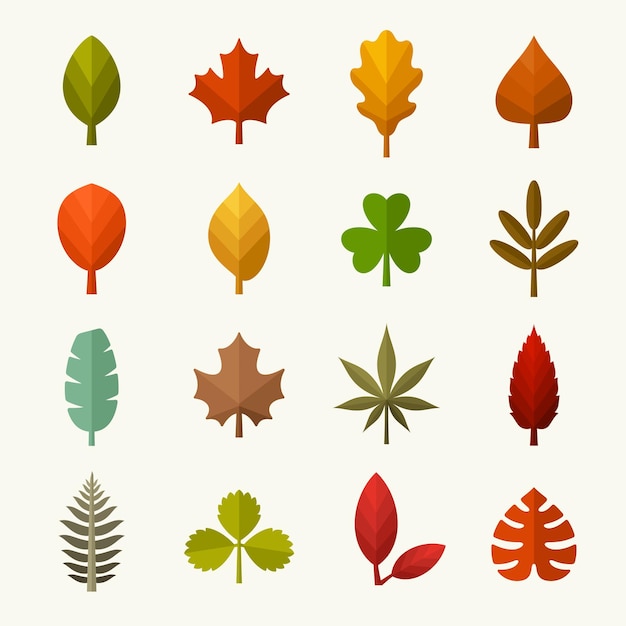 Autumn leaves flat style vector icon set Colourful fall leaf collection