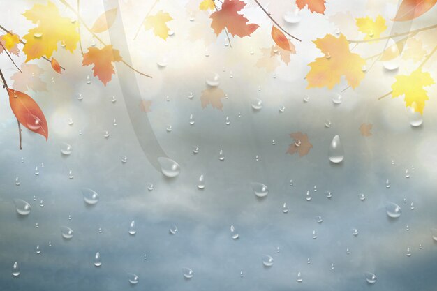 Осенние листья для дождливого стекла. природа осень фон с каплями реалистика на окне, ветвь кленовых листьев. осенний сезон дождливая погода дизайн.