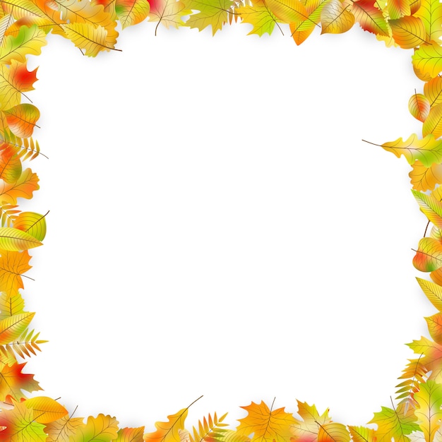 Autumn leaves frame isolated on white.  