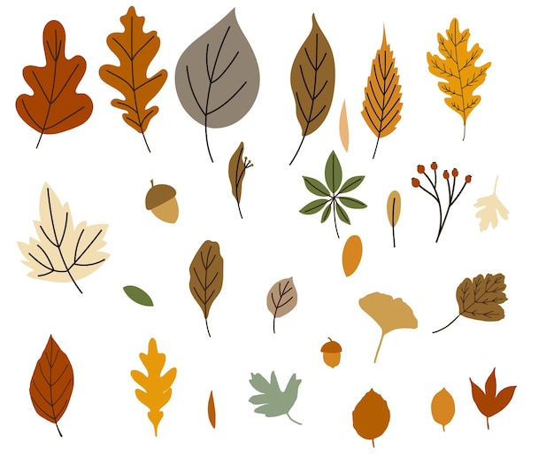 Vector autumn leaves great design for any purposes