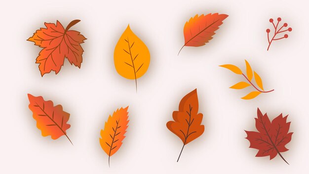 Autumn leaves hand drawn vector