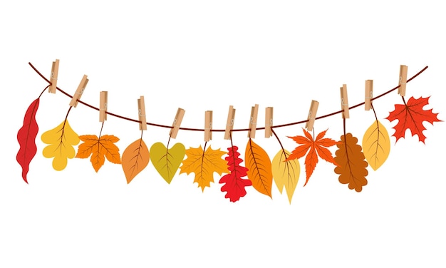 Autumn leaves hanging on the rope attached with clothespin. vector illustration.