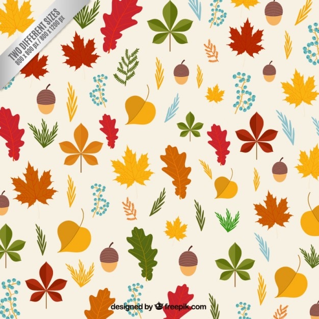 Autumn leaves and hazlenuts background