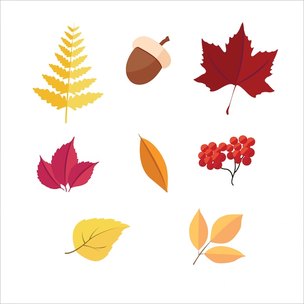 Autumn leaves icon pack