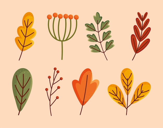 Autumn leaves icon set