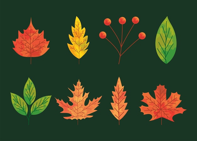Autumn leaves icon set
