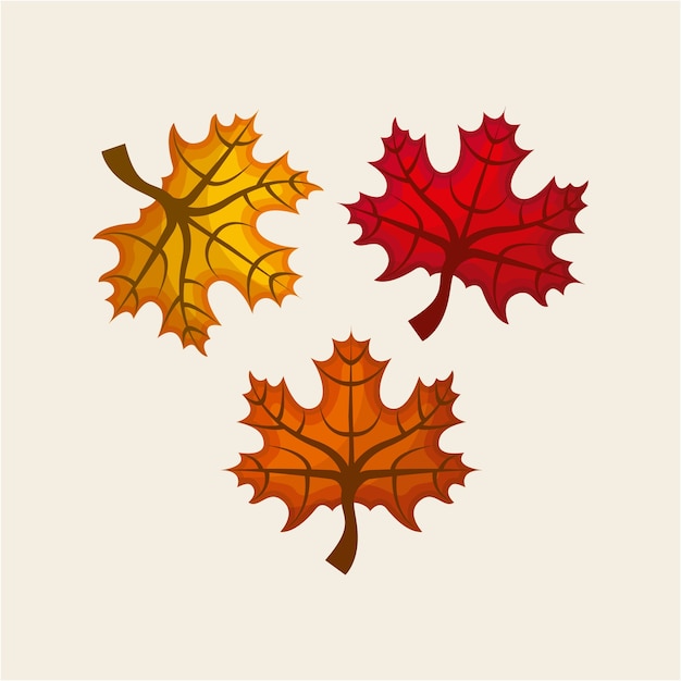 autumn leaves icon