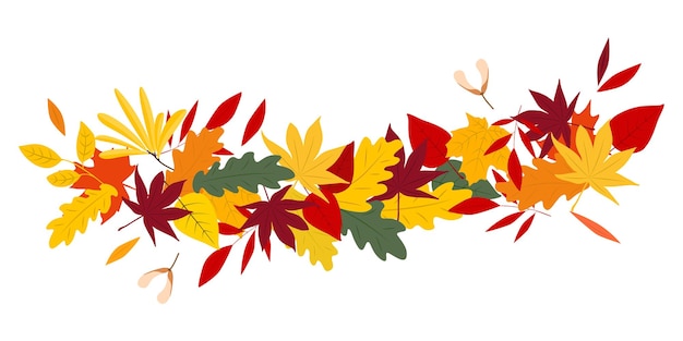 Vettore illustrazione delle foglie di autunno set di foglie vettoriali colorate