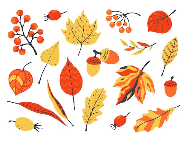 Autumn leaves illustration