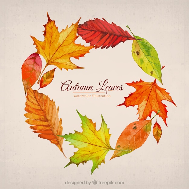 Autumn leaves illustrazione