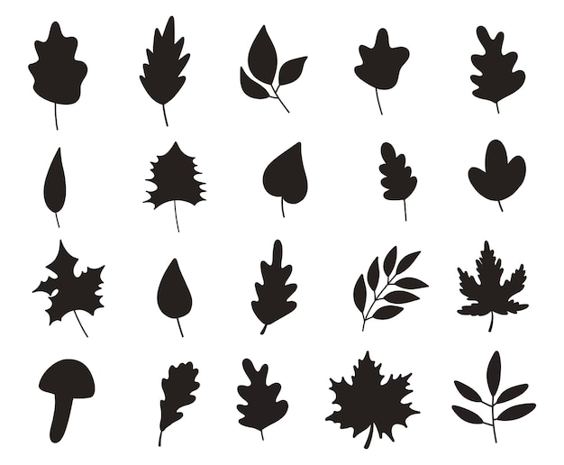 Vector autumn leaves isolated silhouettes