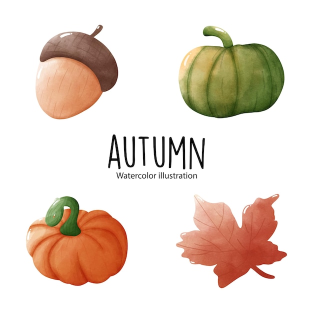 Vector autumn leaves and nature vector illustration