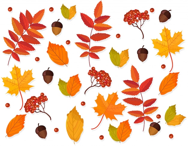 Vector autumn leaves pattern background