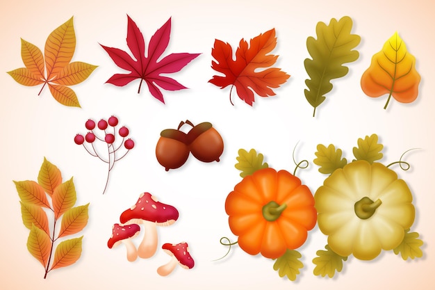 Vector autumn leaves and pumpkins collection