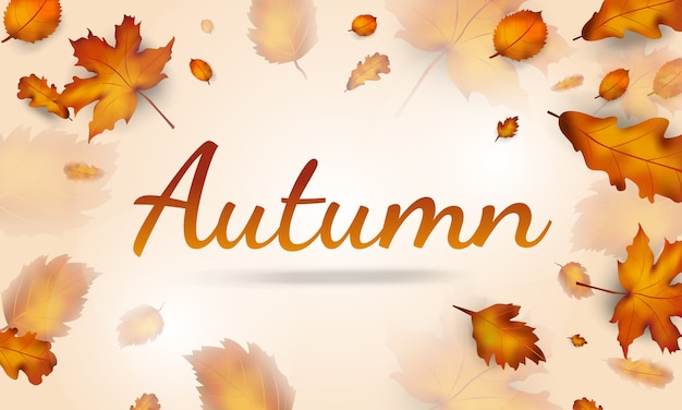 Autumn leaves sale banner for autumn season