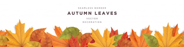 Autumn leaves seamless border frame