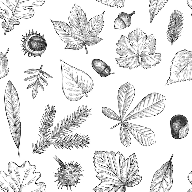 Autumn leaves seamless pattern. hand drawn fallen leaf, acorns, cones print for textile. wallpapers, gift wrap or scrapbook vector texture. engraved foliage, leaves and spruce needles