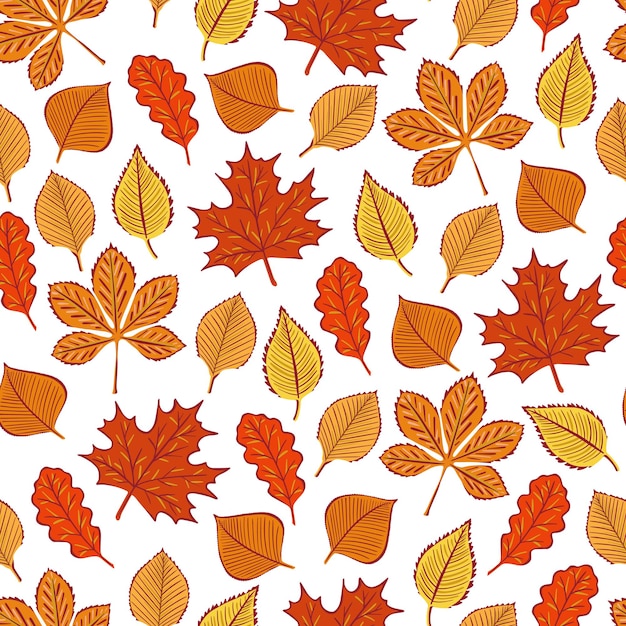 Осенние листья бесшовные модели. Иллюстрация для печати, фона, обоев, обложек, упаковки, поздравительных открыток, плакатов, наклеек, текстиля, сезонного дизайна. Изолированные на белом фоне.