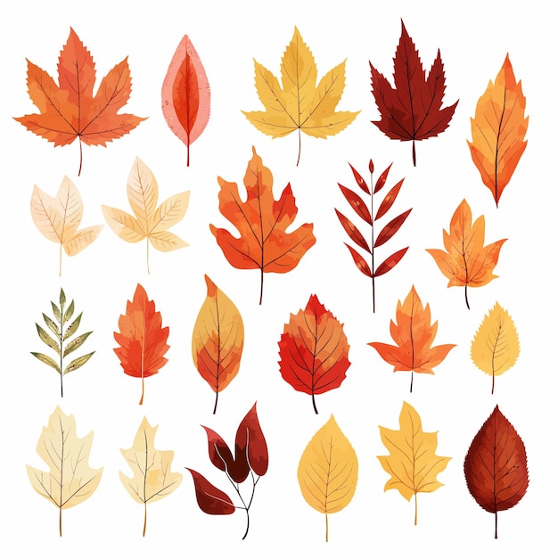 autumn leaves seamless pattern vector