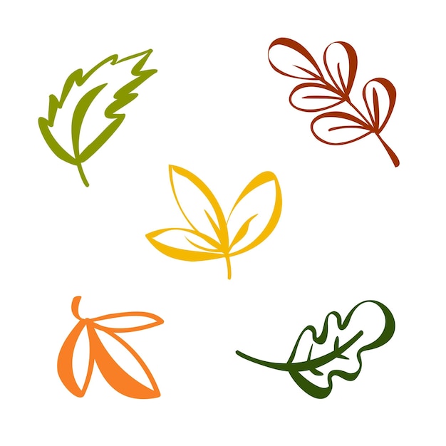 Autumn leaves set fall leaf nature icons over white background
nature floral symbol collection