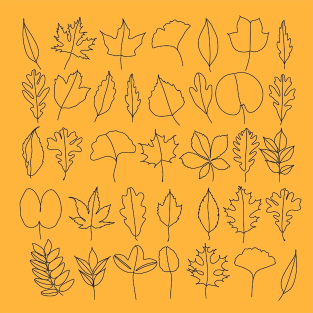 Autumn leaves set hand drawn sketch vector illustration