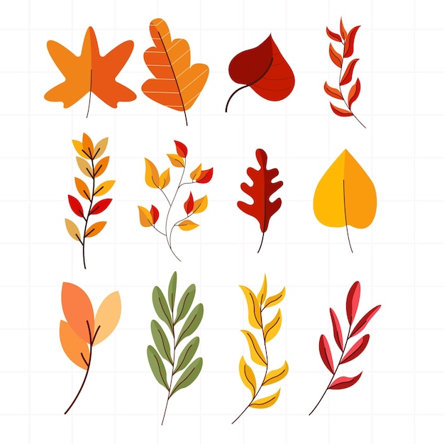Вектор Осенние листья набор, изолированных на белом фоне