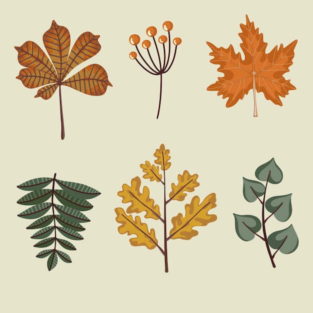 Autumn leaves set vector