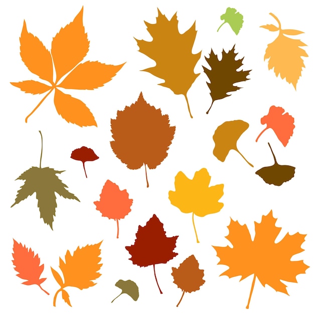 Vector autumn leaves set on white background