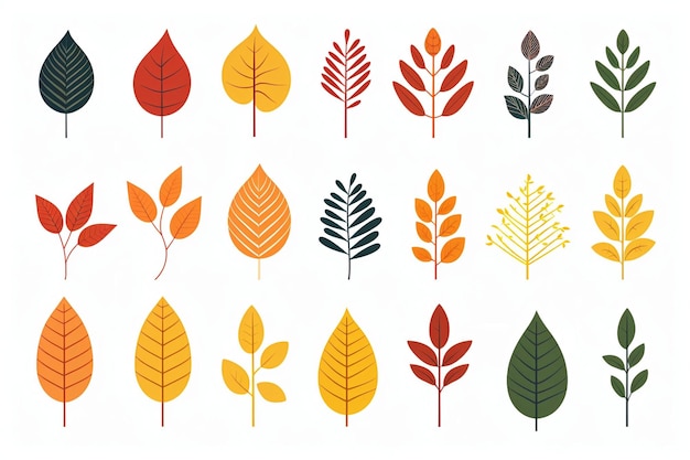 Autumn leaves set white background