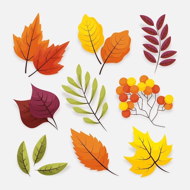 Autumn leaves set