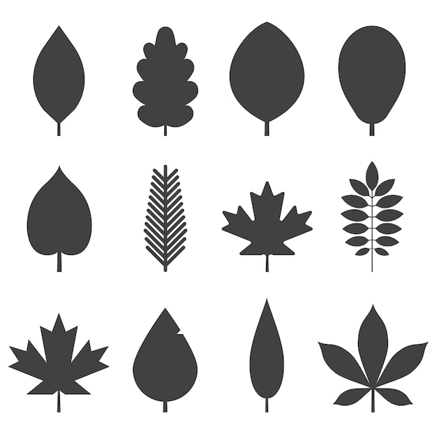 Vector autumn leaves set