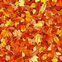 Autumn leaves texture