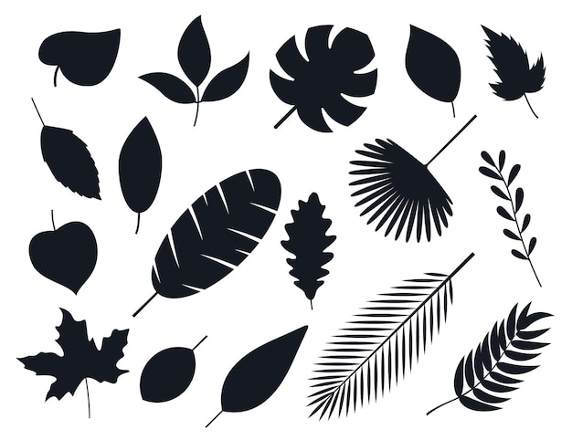 autumn leaves and tropical leaf's silhouette