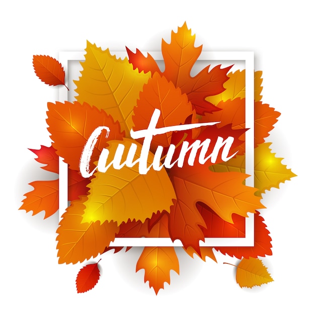 秋の葉のタイポグラフィ。落ち葉の背景に手描きのレタリング。