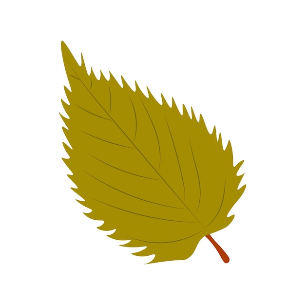 Vector autumn leaves vector illustration autumn leaves top view of fall tree leaf flat vector