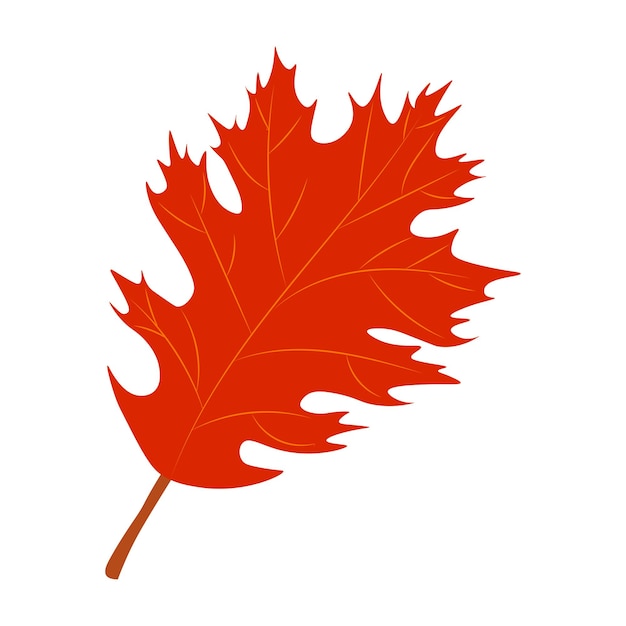 Векторная иллюстрация осенних листьев Осенние листья Вид сверху на осенний лист дерева Плоский вектор