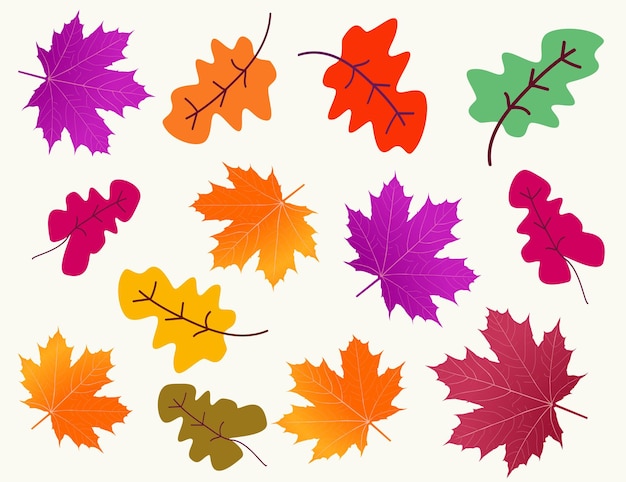 Autumn leaves vector set on white background line art Elegant botanical in fall season