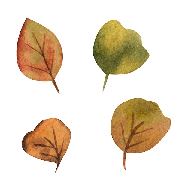 Autumn leaves watercolor illustration