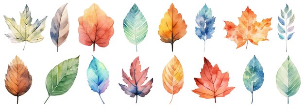 Autumn leaves a Watercolor on a white background vector illustration