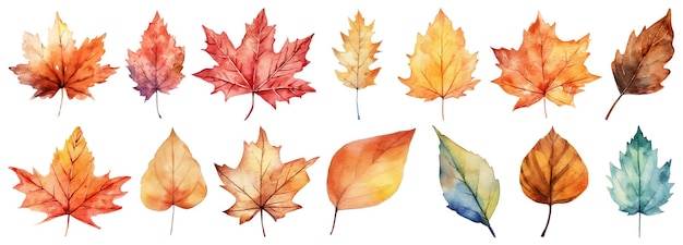 秋は白い背景のベクトル図に水彩画を残します