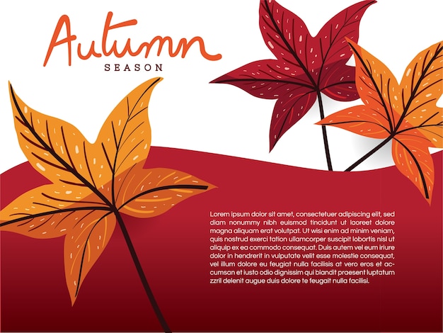 Autumn leaves on white and red background template