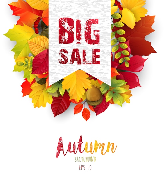 Autumn leaves with sales banner