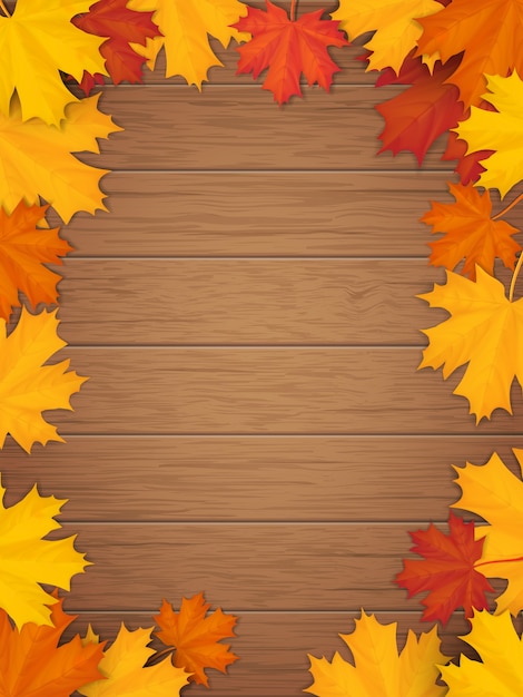 Vector autumn leaves on wooden background. frame from fallen maple leaf.