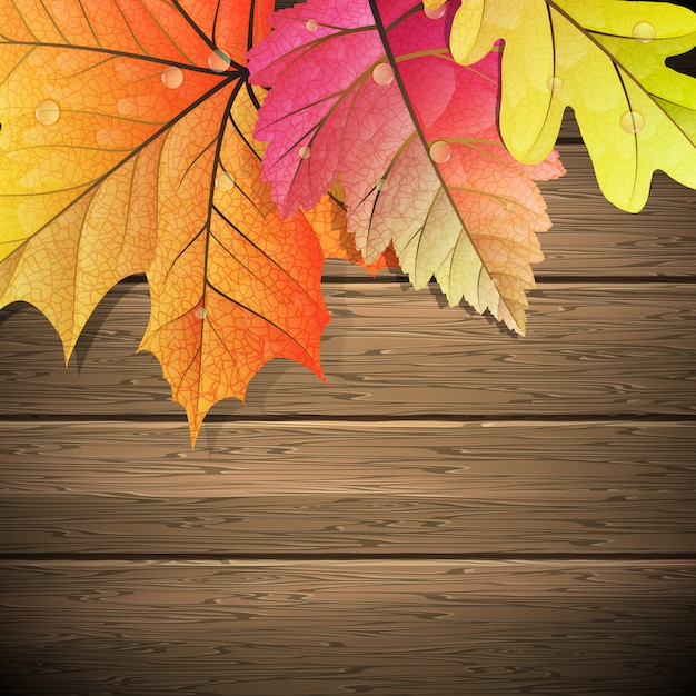 Vector autumn leaves over wooden background.