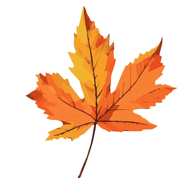 Premium Vector | Autumn leaves