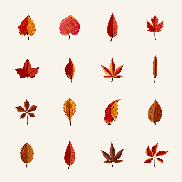 Vector autumn leaves