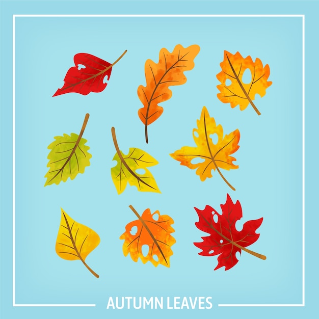 Autumn Leaves